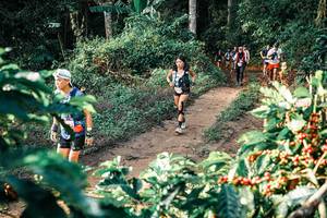 BIB: 
                            <button type="button" onclick="openModal(25837579)" class="btn btn-primary btn-sm float-right btn-popup" data-toggle="modal" data-target=".modal-high-quality">
                        <i class="fas fa-shopping-cart"></i> Add to Cart
                    </button>
                                            <button type="button" onclick="isThisMe(25837579, true)" class="btn btn-success btn-sm float-right btn-popup btn-isme hidden" data-toggle="tooltip" data-placement="bottom" title="นี่คือรูปของคุณใช่ไหม คลิกที่นี่เพื่อเอาเข้าอัลบั้ม">
                        <i class="fas fa-plus"></i> Add to album
                    </button>
                    <button type="button" onclick="isThisMe(25837579, false)" class="btn btn-warning btn-sm float-right btn-popup btn-isnotme hidden">
                        <i class="fas fa-ban"></i> Remove from album
                    </button>